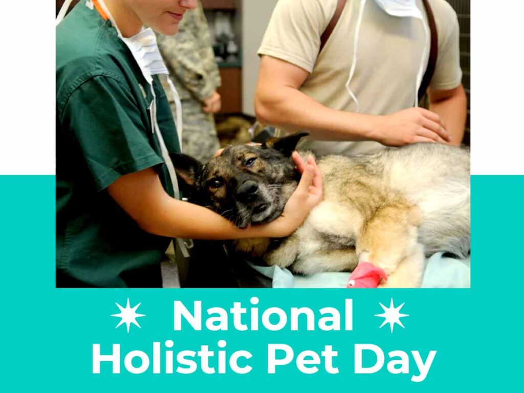 National Holistic Pet Day August 30th 2023, History, Celebrate and Tips